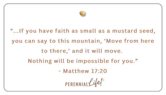 "Faith as small as a Mustard Seed..." Magnet by iPrep2Thrive™