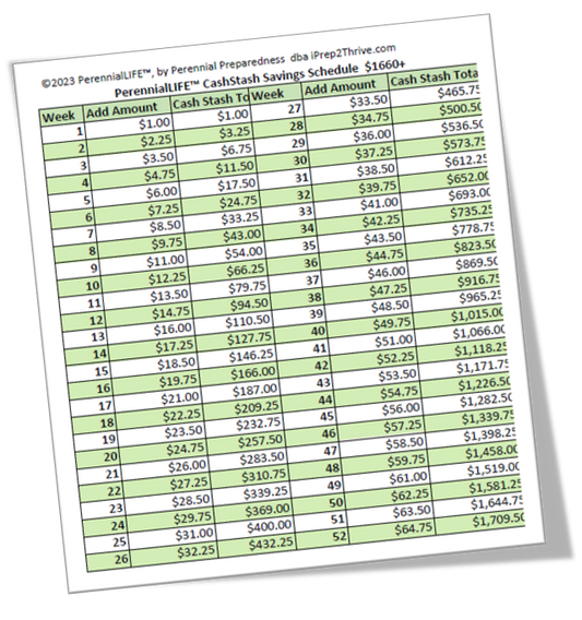 FREE Cash Stash Savings Schedules for $500, $1000, $1660, $4000