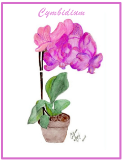 Esther "Goldbaby" Kelly Art Collection Note Cards