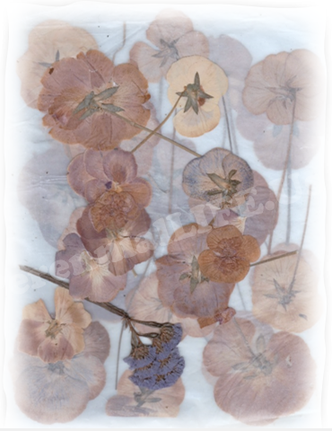 Esther "Goldbaby" Kelly Art Collection Note Cards