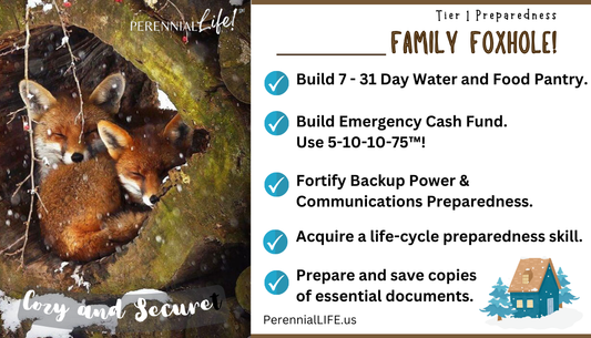 Family Foxhole Kitchen Magnet with Tier 1 Preparedness Goals, by PerennialLIFE™