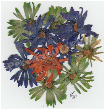 Esther "Goldbaby" Kelly Art Collection Note Cards