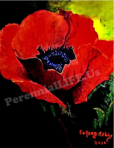 Esther "Goldbaby" Kelly Art Collection Note Cards